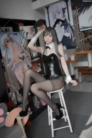 Coser美女疯猫ss No.046 - 麻衣学姐 主题写真 [14P]