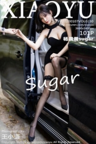 [XiaoYu画语界]Vol.230_女神杨晨晨sugar室外车拍主题朦胧黑丝秀翘臀美腿诱惑写真101P